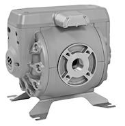 Directflo 250 Aluminum Acetal Check Ball Diaphragm Pumps